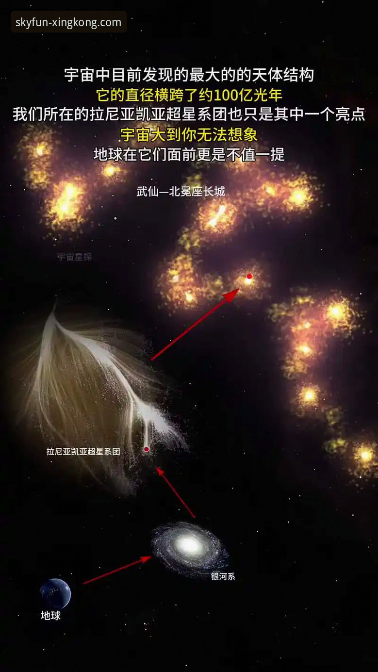 星空官网登录入口 星空官网登录入口vs普通娱乐平台:专业分析揭示的5个关键差异